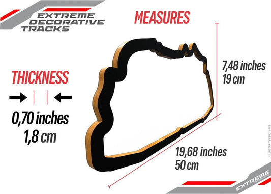 ESR DECORATIVE TRACK - LE MANS / FRANCE - 2055- DRIVEN - 2