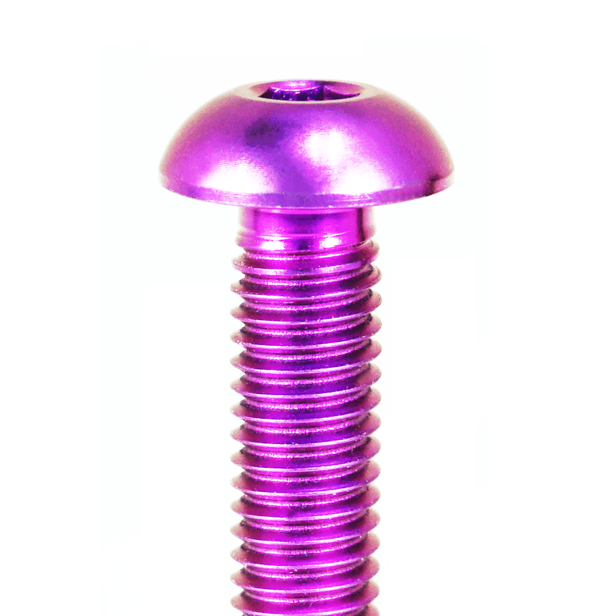 ZSPEC Button-Head Bolt/Fastener, M5-0.8x25mm, Titanium Grade-5, Per Each - ZSD-376733-ZSD-376740-ZSD-376757-ZSD-376764-ZSD-376771- DRIVEN - 6