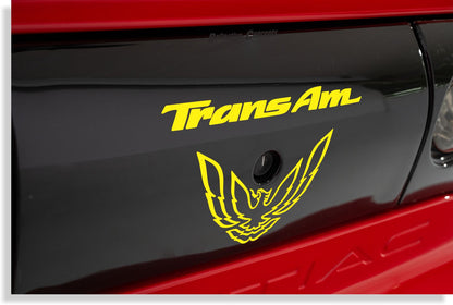 Rear Panel Overlay Decals - 93-02 Trans Am - FB:TARO-01-FB:TARO-02-FB:TARO-03-FB:TARO-04-FB:TARO-05-  DRIVEN - 4