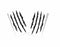 Claw Mark Decals (pair)
