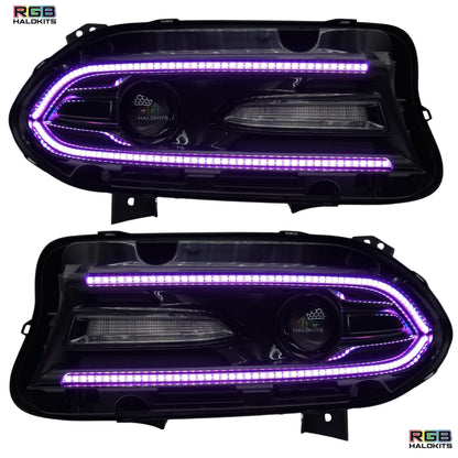 Dodge Charger Flow Series DRL Boards (2015-2024) - E18 | A21 | P2   - BX12-E18 | B10 | A23 | A21 | P2   - BX12-E18 | D17 | A23 | A21 | P2   - BX12-E18 | D14 | A23 | A21 | P2   - BX12-E18 | B13 | A21 | P2   - BX12-  DRIVEN - 8