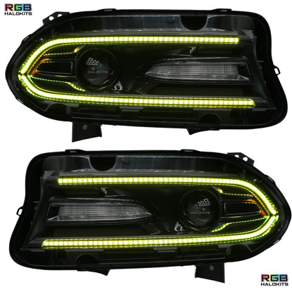 Dodge Charger Flow Series DRL Boards (2015-2024) - E18 | A21 | P2   - BX12-E18 | B10 | A23 | A21 | P2   - BX12-E18 | D17 | A23 | A21 | P2   - BX12-E18 | D14 | A23 | A21 | P2   - BX12-E18 | B13 | A21 | P2   - BX12-  DRIVEN - 9
