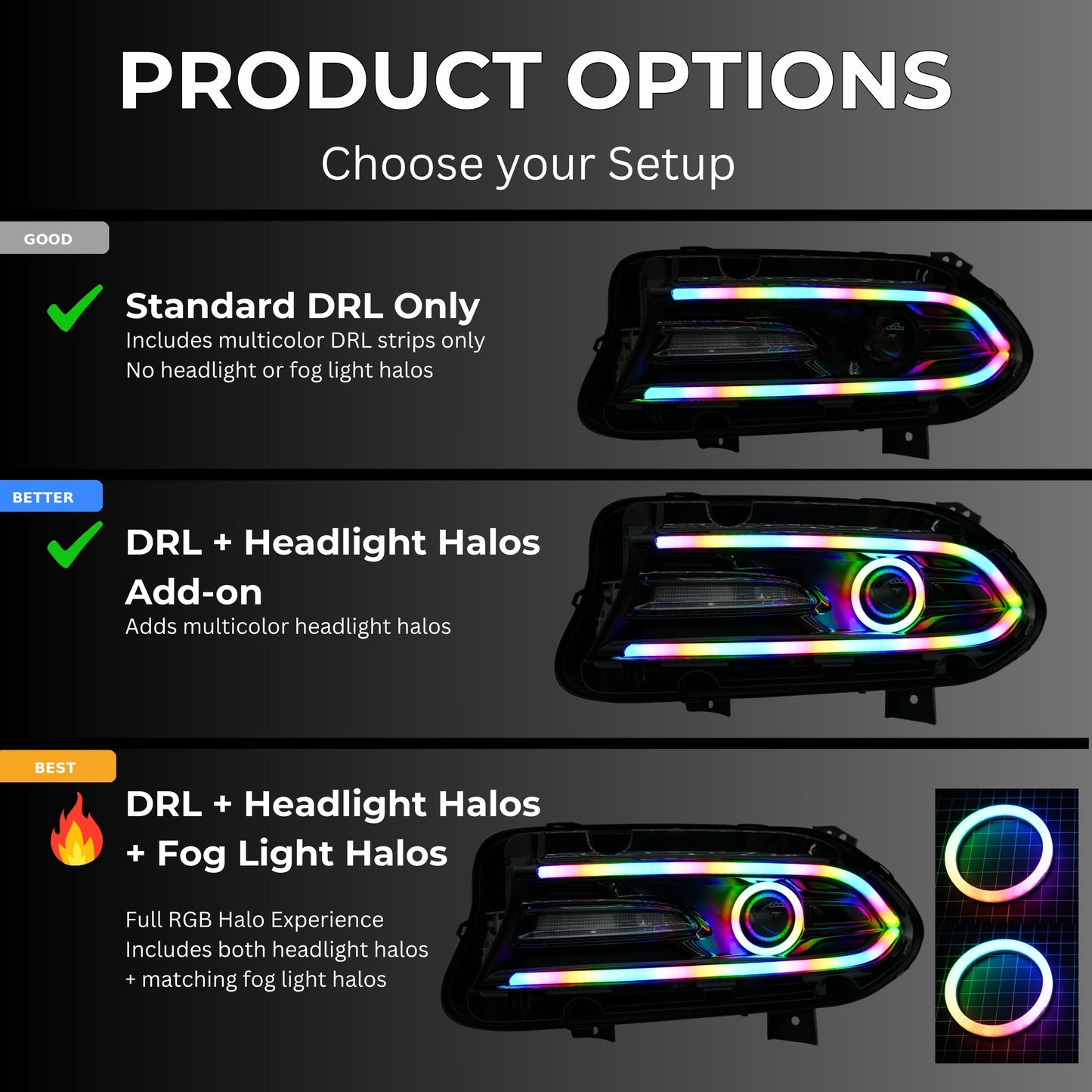 Dodge Charger Flow Series DRL Boards 2.0 | Diffused LED (2015-2023) - E17 | A21 |P2   - BX12-E17 | B10 | B31 | A23 | A21 | P2   - BX12-E17 | B1 | B34 | A21 | P2   - BX12-E17 | B10 | B1 | B31 | B34 | A23 | A21 | P2   - BX12-  DRIVEN - 10