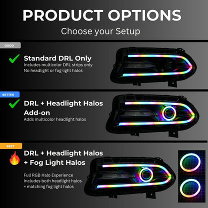Dodge Charger Flow Series DRL Boards 2.0 | Diffused LED (2015-2023) - E17 | A21 |P2   - BX12-E17 | B10 | B31 | A23 | A21 | P2   - BX12-E17 | B1 | B34 | A21 | P2   - BX12-E17 | B10 | B1 | B31 | B34 | A23 | A21 | P2   - BX12-  DRIVEN - 10