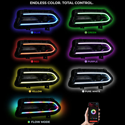 Dodge Charger Flow Series DRL Boards 2.0 | Diffused LED (2015-2023) - E17 | A21 |P2   - BX12-E17 | B10 | B31 | A23 | A21 | P2   - BX12-E17 | B1 | B34 | A21 | P2   - BX12-E17 | B10 | B1 | B31 | B34 | A23 | A21 | P2   - BX12-  DRIVEN - 12
