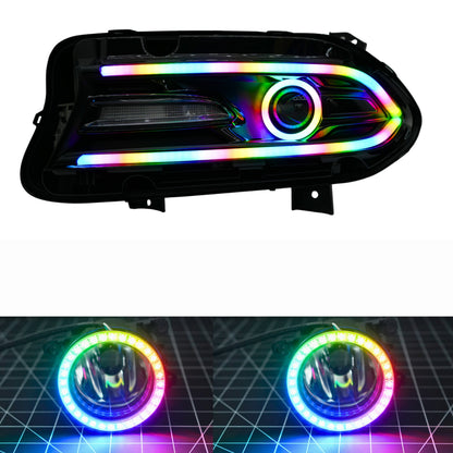 Dodge Charger Flow Series DRL Boards 2.0 | Diffused LED (2015-2023) - E17 | A21 |P2   - BX12-E17 | B10 | B31 | A23 | A21 | P2   - BX12-E17 | B1 | B34 | A21 | P2   - BX12-E17 | B10 | B1 | B31 | B34 | A23 | A21 | P2   - BX12-  DRIVEN - 17