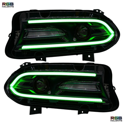Dodge Charger Flow Series DRL Boards 2.0 | Diffused LED (2015-2023) - E17 | A21 |P2   - BX12-E17 | B10 | B31 | A23 | A21 | P2   - BX12-E17 | B1 | B34 | A21 | P2   - BX12-E17 | B10 | B1 | B31 | B34 | A23 | A21 | P2   - BX12-  DRIVEN - 3