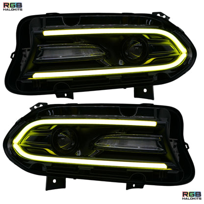 Dodge Charger Flow Series DRL Boards 2.0 | Diffused LED (2015-2023) - E17 | A21 |P2   - BX12-E17 | B10 | B31 | A23 | A21 | P2   - BX12-E17 | B1 | B34 | A21 | P2   - BX12-E17 | B10 | B1 | B31 | B34 | A23 | A21 | P2   - BX12-  DRIVEN - 4