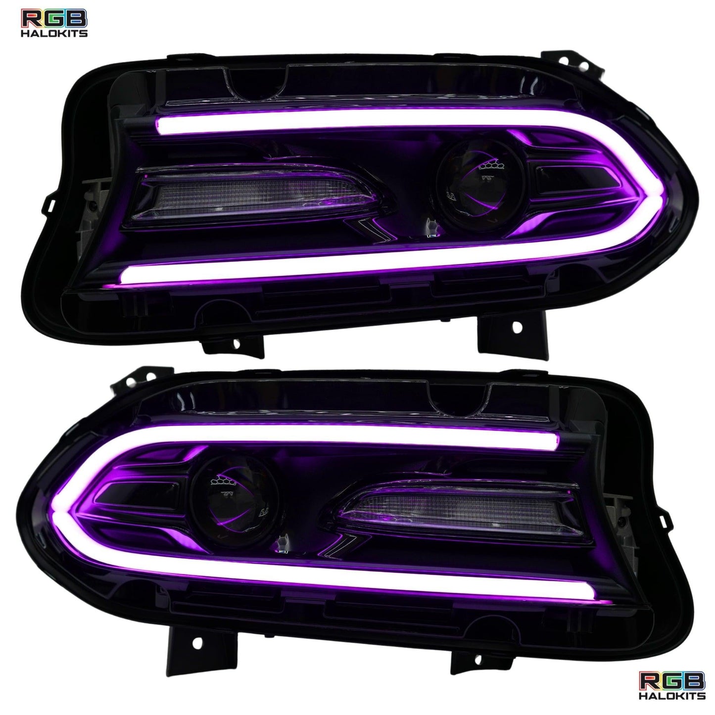 Dodge Charger Flow Series DRL Boards 2.0 | Diffused LED (2015-2023) - E17 | A21 |P2   - BX12-E17 | B10 | B31 | A23 | A21 | P2   - BX12-E17 | B1 | B34 | A21 | P2   - BX12-E17 | B10 | B1 | B31 | B34 | A23 | A21 | P2   - BX12-  DRIVEN - 6