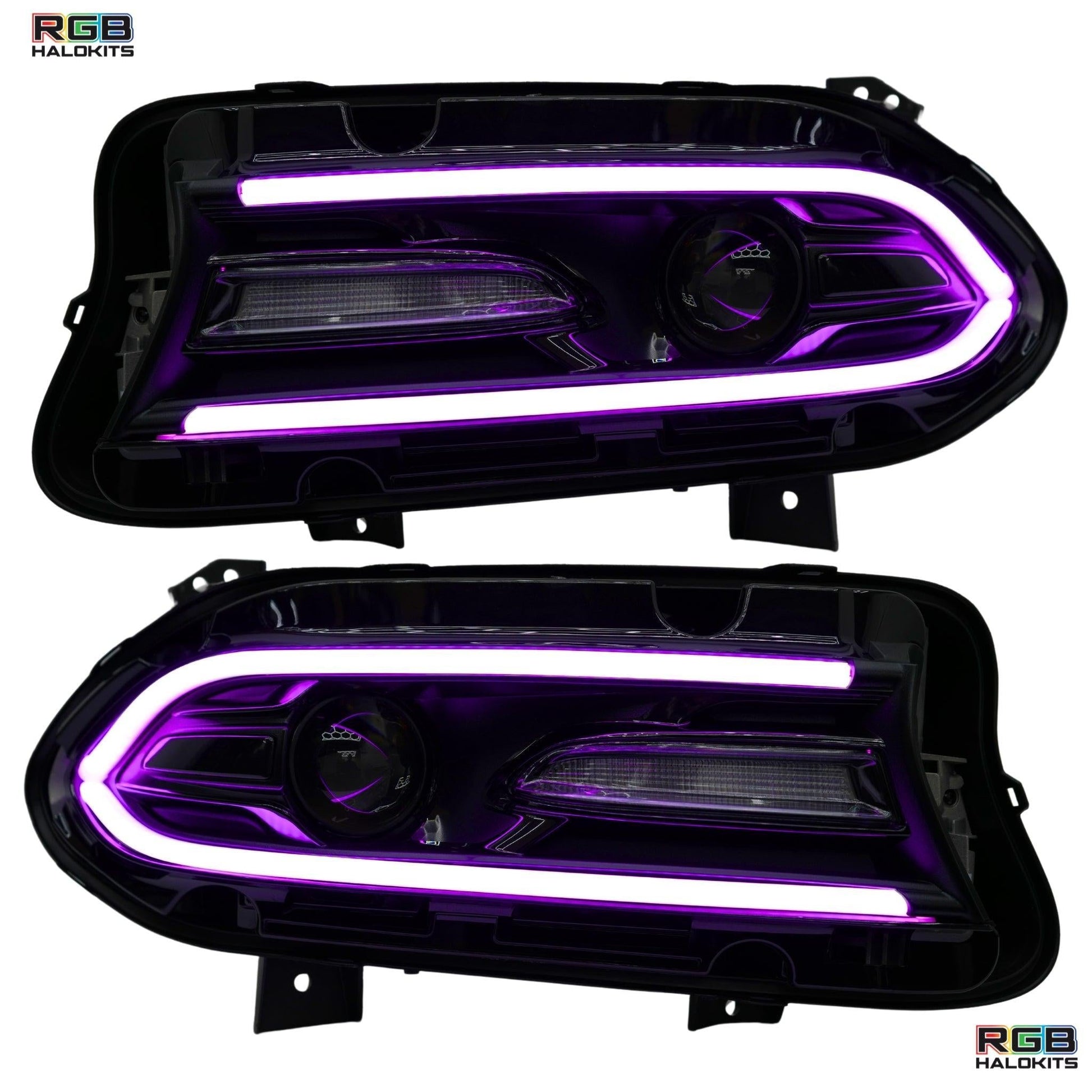 Dodge Charger Flow Series DRL Boards 2.0 | Diffused LED (2015-2023) - E17 | A21 |P2   - BX12-E17 | B10 | B31 | A23 | A21 | P2   - BX12-E17 | B1 | B34 | A21 | P2   - BX12-E17 | B10 | B1 | B31 | B34 | A23 | A21 | P2   - BX12-  DRIVEN - 6