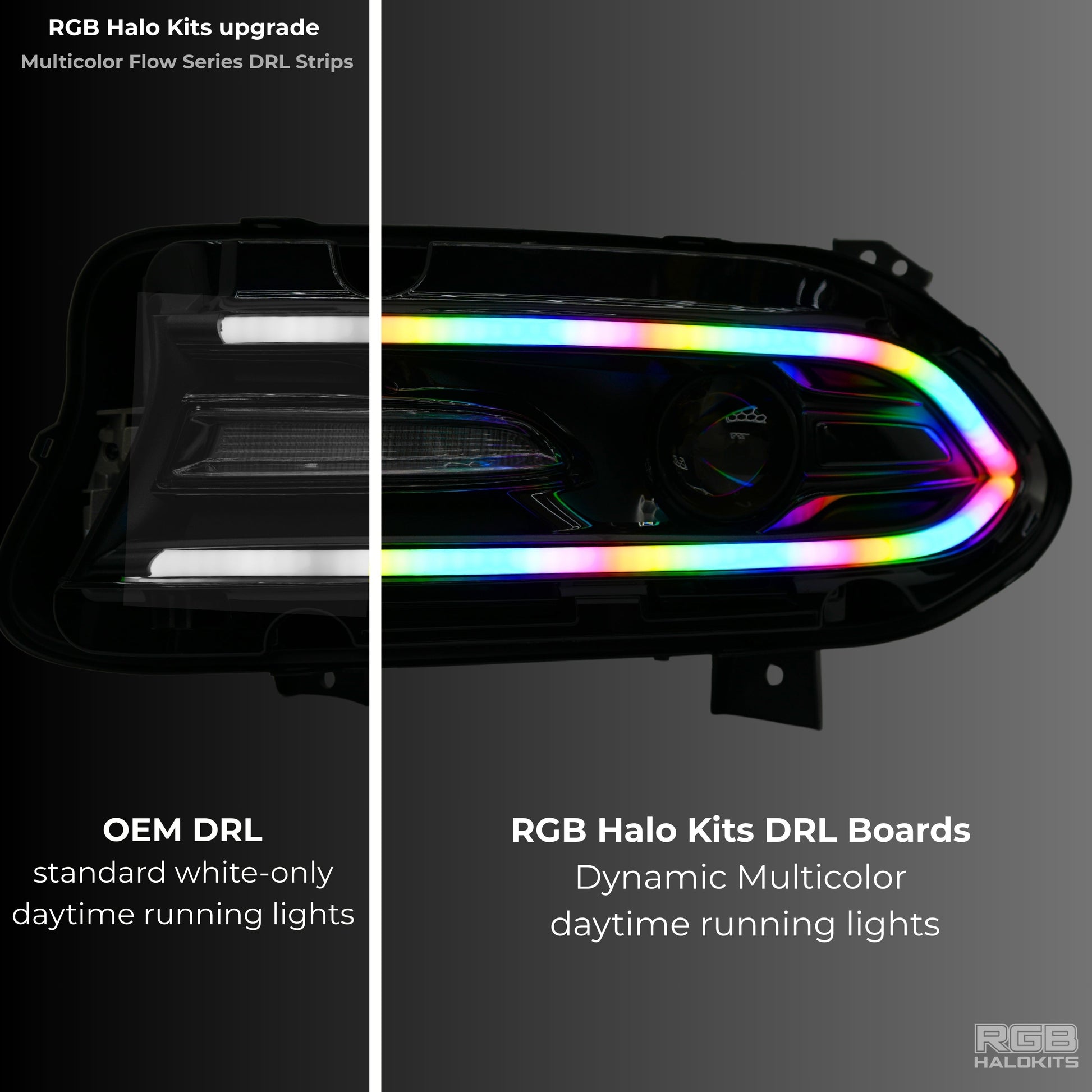 Dodge Charger Flow Series DRL Boards 2.0 | Diffused LED (2015-2023) - E17 | A21 |P2   - BX12-E17 | B10 | B31 | A23 | A21 | P2   - BX12-E17 | B1 | B34 | A21 | P2   - BX12-E17 | B10 | B1 | B31 | B34 | A23 | A21 | P2   - BX12-  DRIVEN - 8