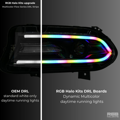Dodge Charger Flow Series DRL Boards 2.0 | Diffused LED (2015-2023) - E17 | A21 |P2   - BX12-E17 | B10 | B31 | A23 | A21 | P2   - BX12-E17 | B1 | B34 | A21 | P2   - BX12-E17 | B10 | B1 | B31 | B34 | A23 | A21 | P2   - BX12-  DRIVEN - 8