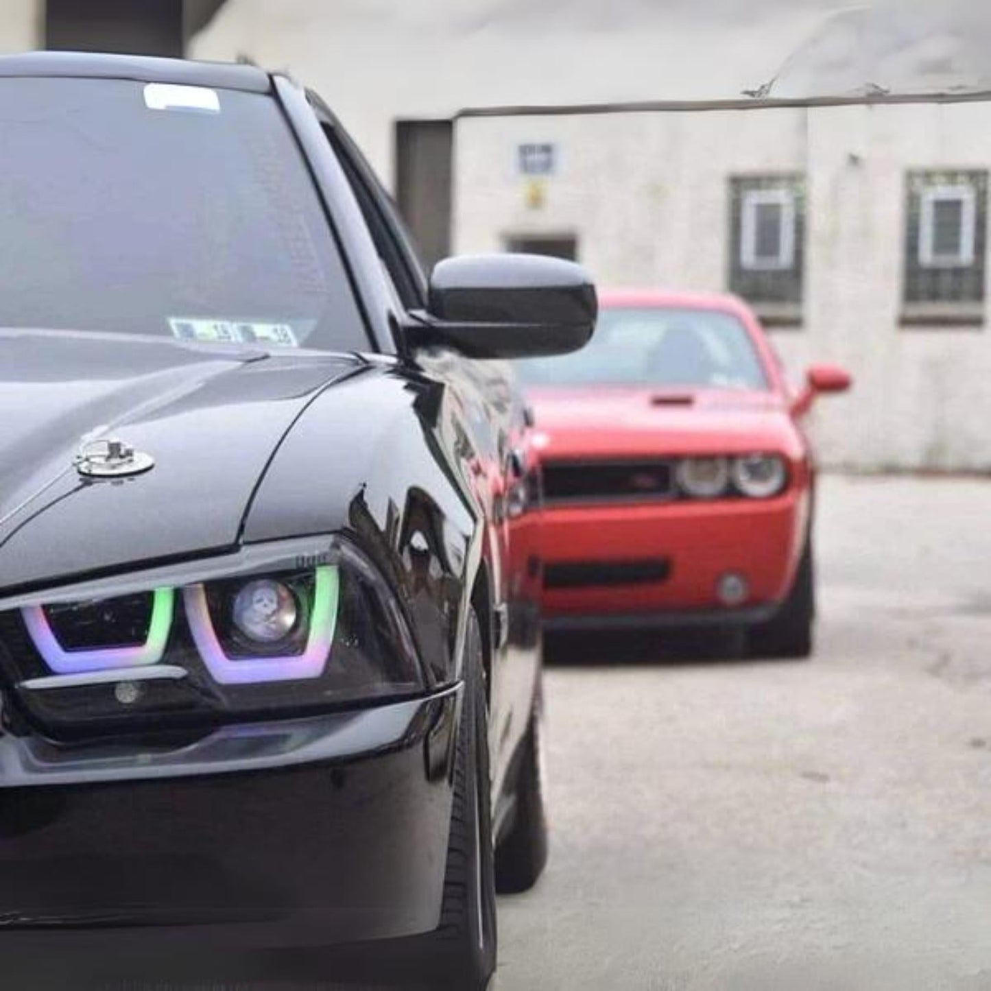 Dodge Charger Flow Series DRL Boards (for 2011-2014 Spec-D Headlights) - F19 | A20 | P2 -BX1-  DRIVEN - 16