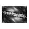 Light Signature Poster