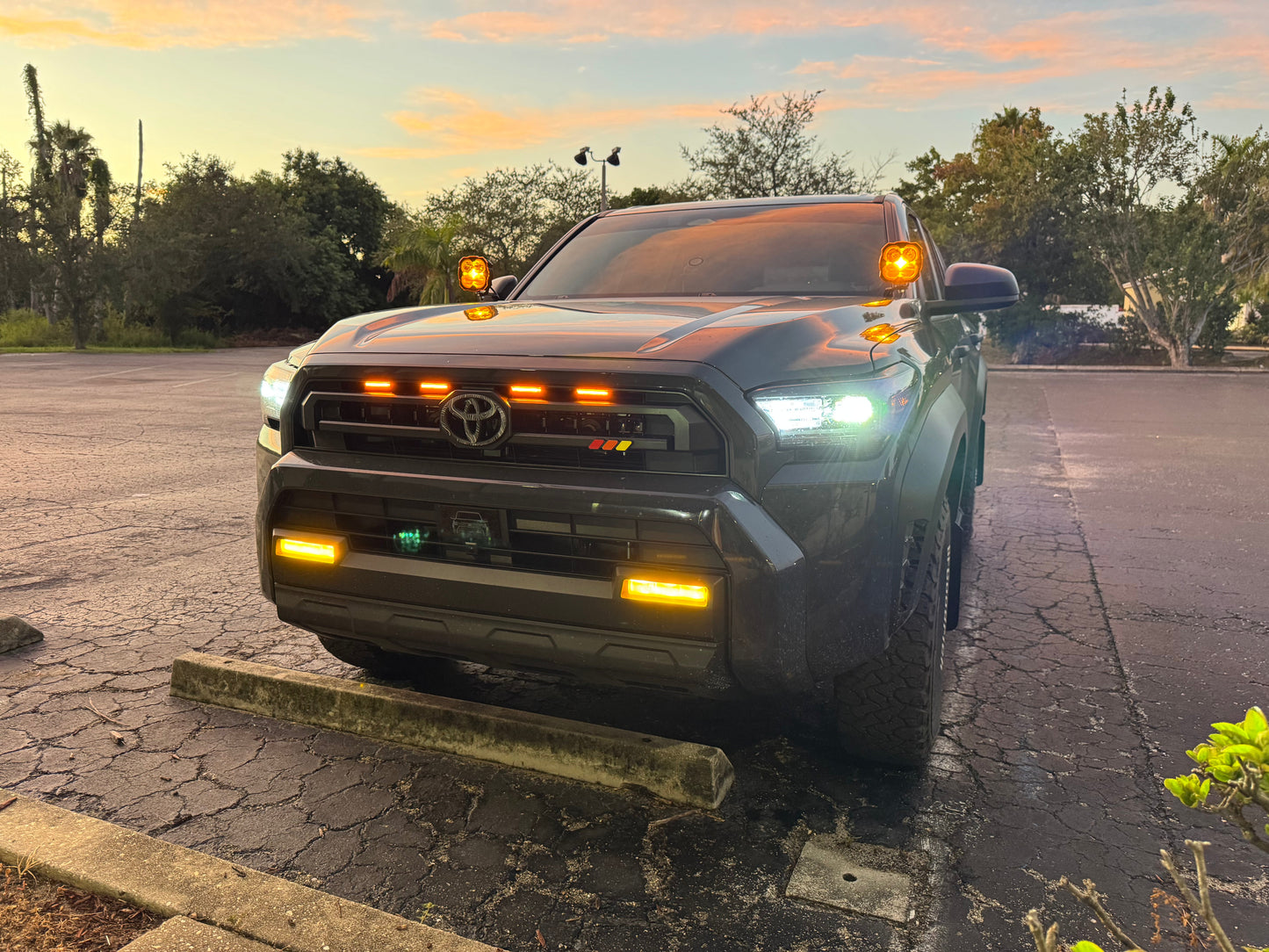 Fog Light Overlays - 2024+ Tacoma - 24TACODRFOG-YL-24TACODRFOG-AM-24TACODRFOG-DAM-24TACODRFOG-V2AM-24TACODRFOG-V2YL-  DRIVEN - 12