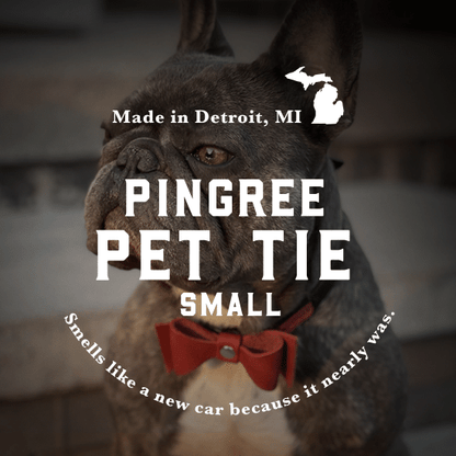 Pingree Pet Tie - sku-40538784464961-sku-40538784497729-sku-39371258855489-sku-39379413270593-sku-39379412680769-  DRIVEN - 19