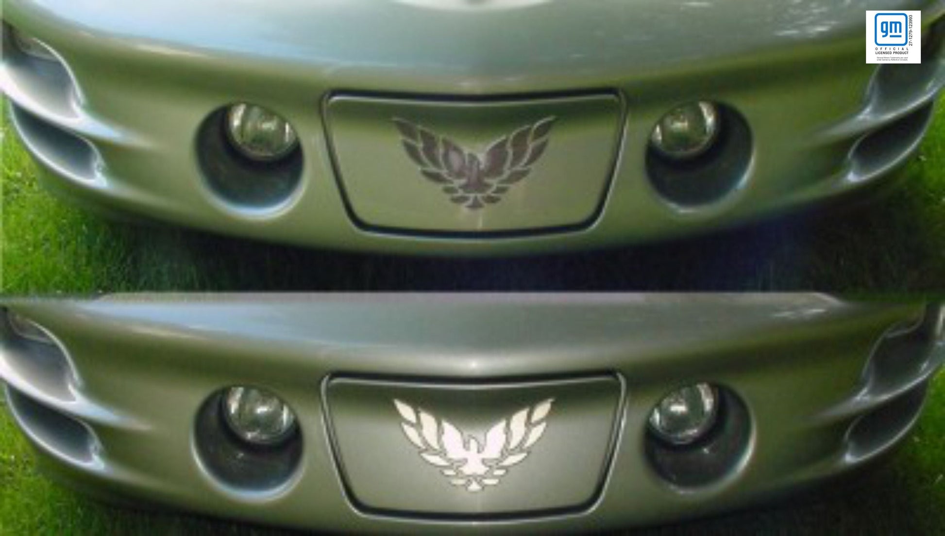 Front License Plate Cover Overlay Decal - 98-02 Firebird - FB:Front-01-FB:Front-02-FB:Front-03-FB:Front-04-FB:Front-05-  DRIVEN - 5