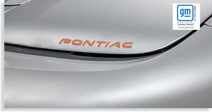 Headlight Overlay Decal - 98-02 Firebird - FB:HL-01-FB:HL-02-FB:HL-03-FB:HL-04-FB:HL-05-  DRIVEN - 1