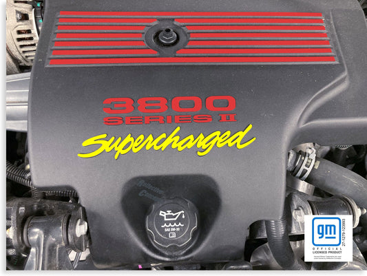 96-03 Bonneville SSEI Engine Cover Overlay Decals - BONNEVILLE:L67-EC-  DRIVEN - 2