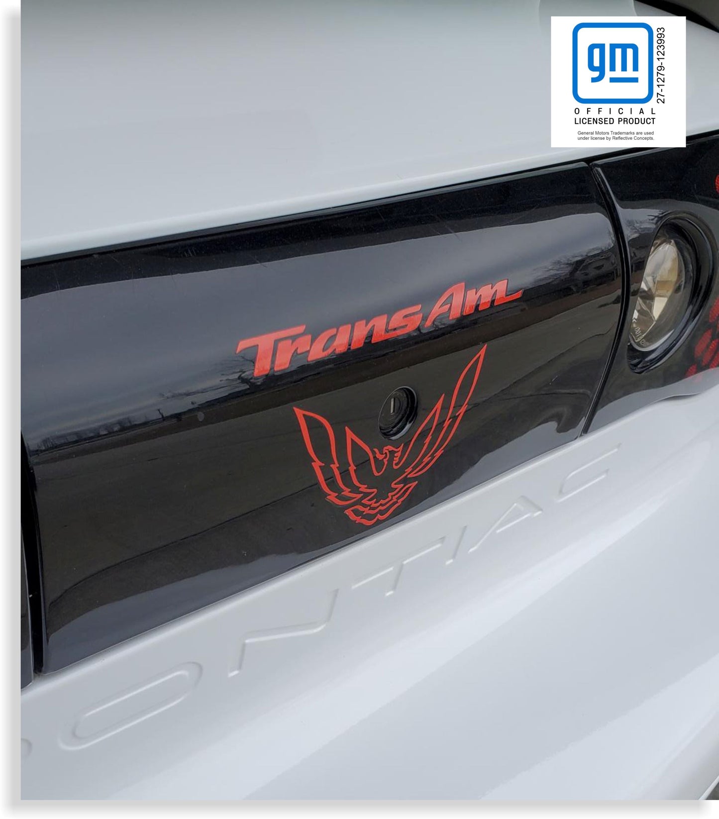 Rear Panel Overlay Decals - 93-02 Trans Am - FB:TARO-01-FB:TARO-02-FB:TARO-03-FB:TARO-04-FB:TARO-05-  DRIVEN - 1