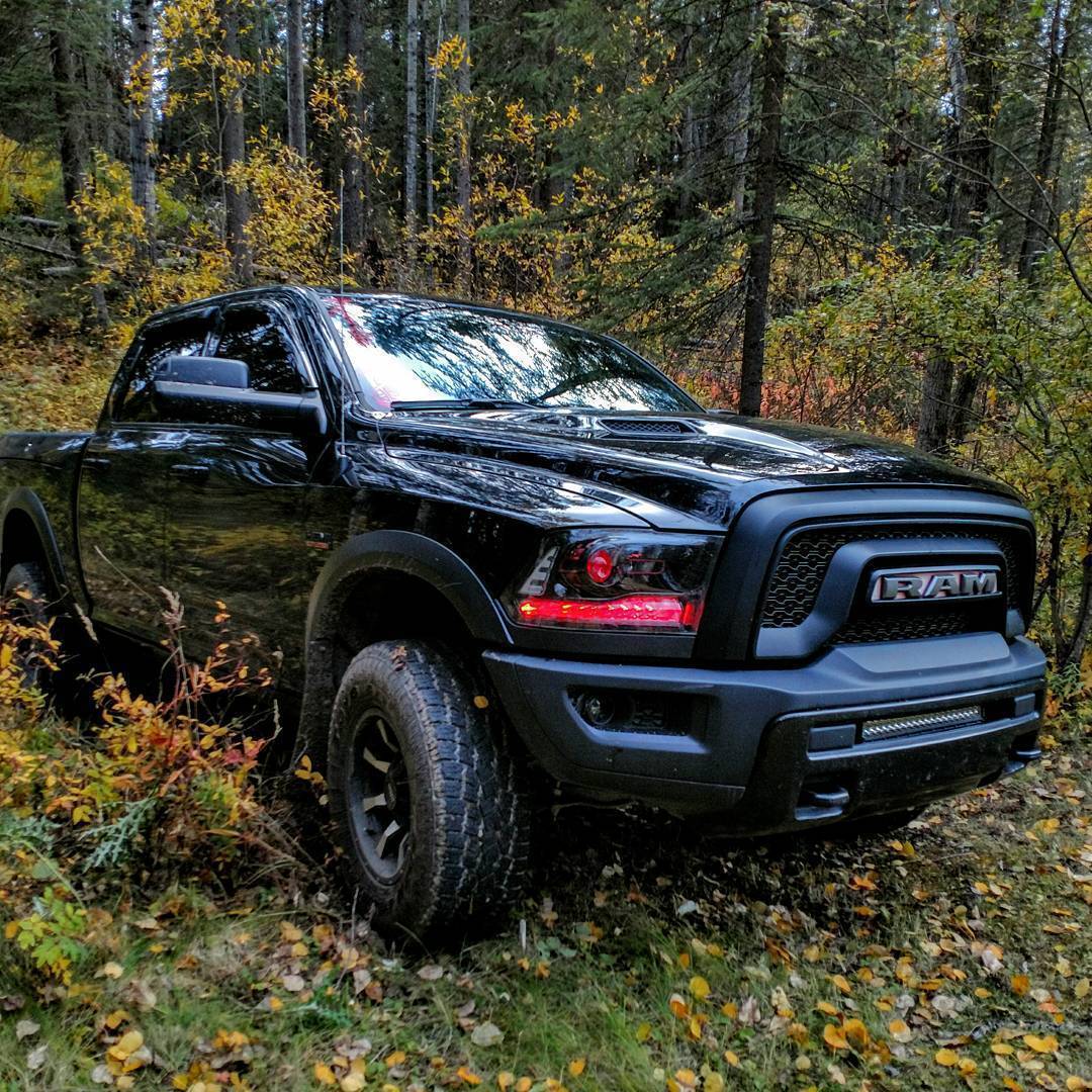 Ram Multicolor DRL Boards (2009-2018) - F25 | A12 | P2   - BX5-F26 | A20 | P2   - BX5-  DRIVEN - 6