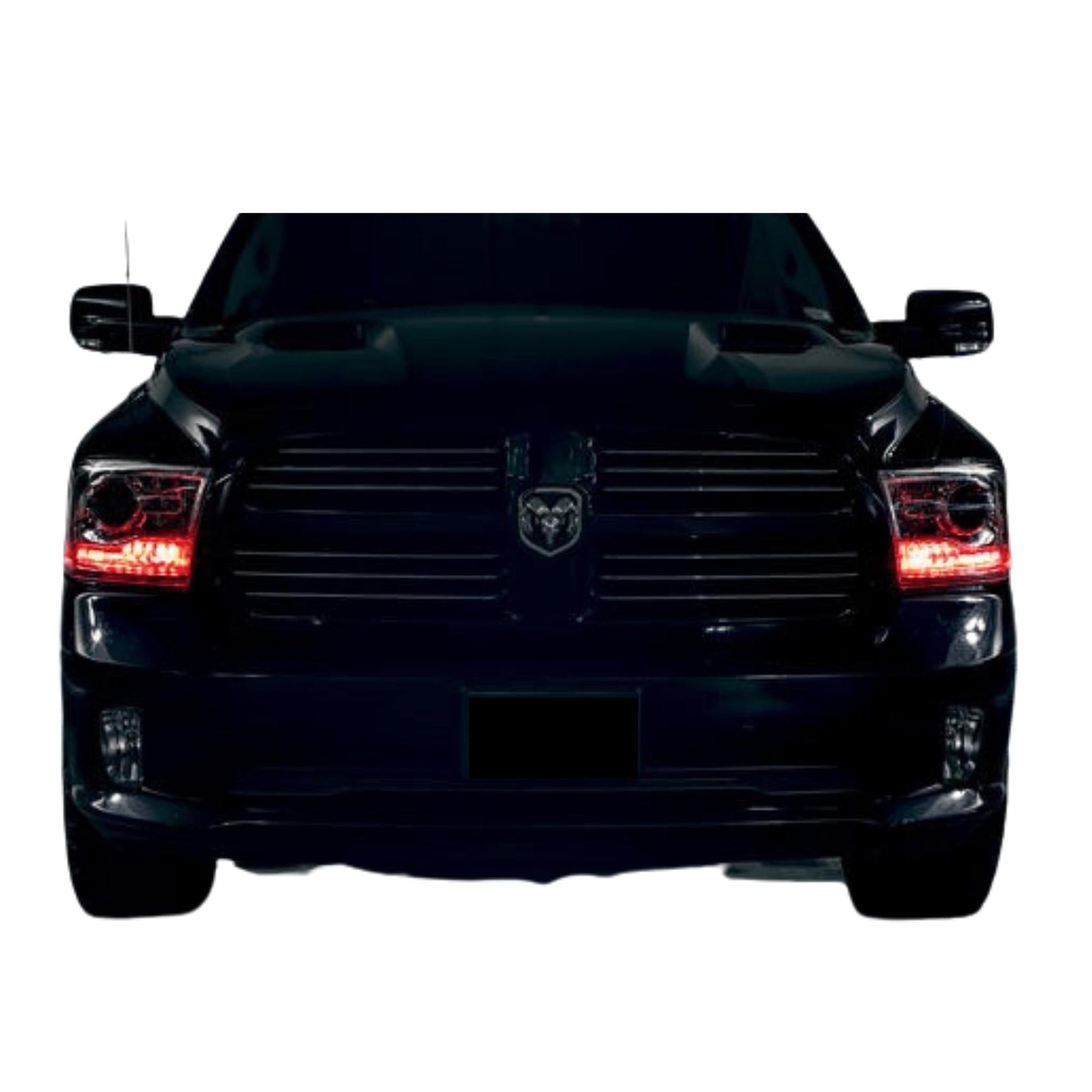 Ram Multicolor DRL Boards (2009-2018) - F25 | A12 | P2   - BX5-F26 | A20 | P2   - BX5-  DRIVEN - 1
