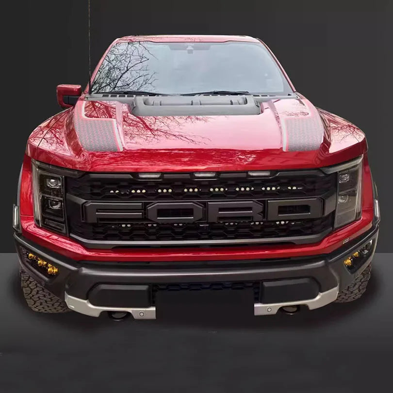 Tracery Splash Hood, Bedside & Letter Stripe Decal for Ford F-150 Raptor (2021–2023) | Vinyl Graphics Kit - 200000182:496#for red car-200000182:173#for black car-200000182:193#hood sticker-200000182:175#for blue car-200000182:10#for white car-  DRIVEN - 6
