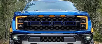 Custom Vinyl Decal Kit for Ford F-150 Raptor 3rd Gen 3.5T (2023) | Special KK Wrap - 200000182:350852#e-  DRIVEN - 24