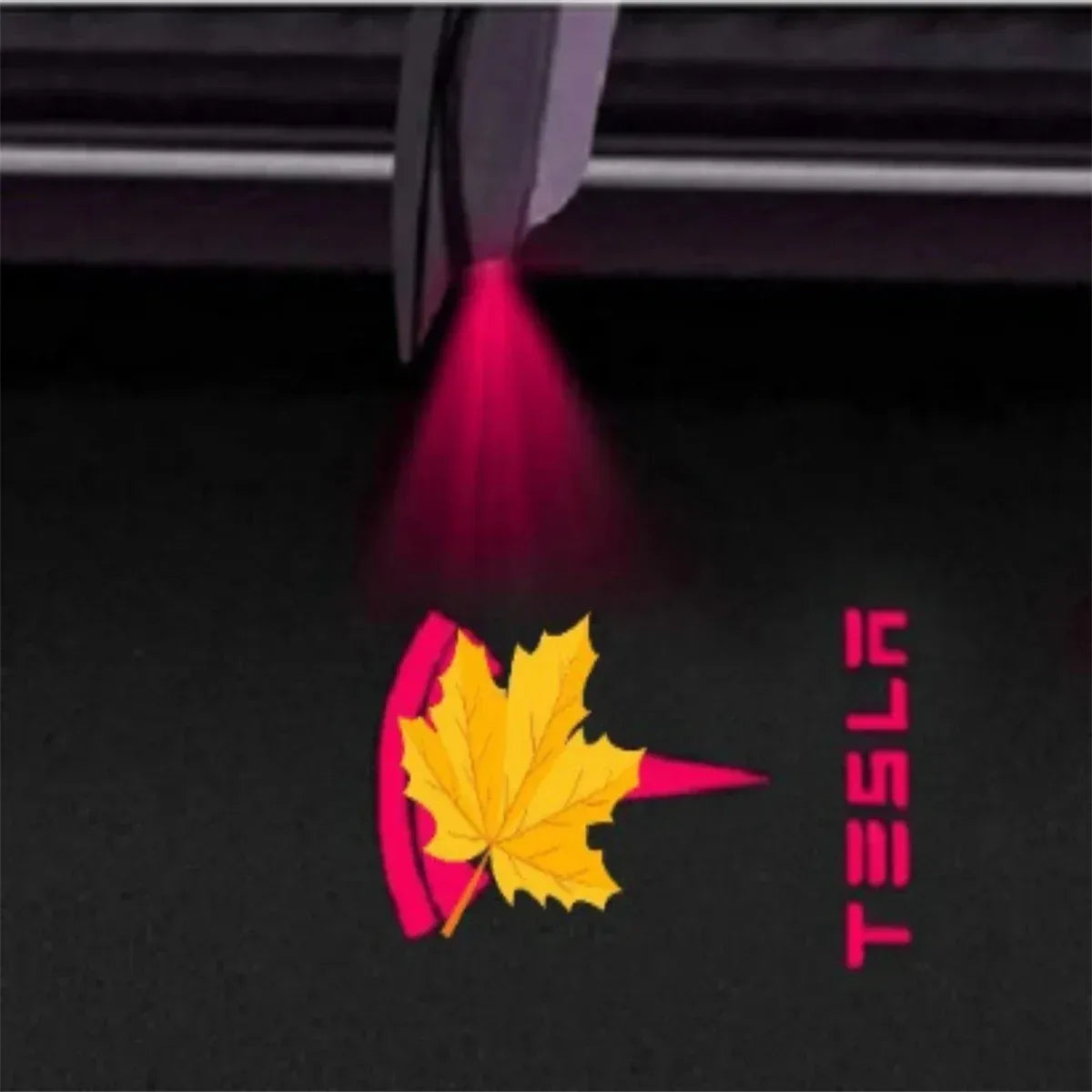 Car Door LED Logo Projector Welcome Lights for Tesla | HD 3D Laser Ghost Shadow Light (2 or 4pcs) - 14:175#Tesla13;355:203287811#4PCS-14:365458#Tesla06;355:203287811#4PCS-14:350850#Tesla07;355:203287813#2PCS-14:200002130#Tesla05;355:203287811#4PCS-14:365458#Tesla06;355:203287813#2PCS-  DRIVEN - 9