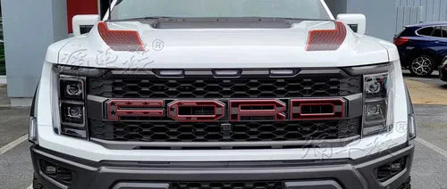 Custom Vinyl Decal Kit for Ford F-150 Raptor 3rd Gen 3.5T (2023) | Special KK Wrap - 200000182:173#h-  DRIVEN - 19