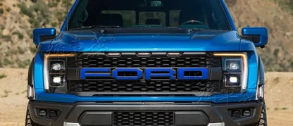 Custom Vinyl Decal Kit for Ford F-150 Raptor 3rd Gen 3.5T (2023) | Special KK Wrap - 200000182:29#b-  DRIVEN - 20