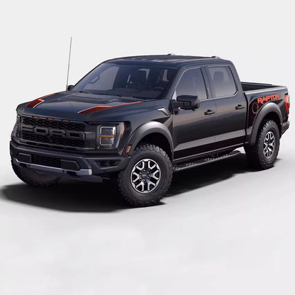 Tracery Splash Hood, Bedside & Letter Stripe Decal for Ford F-150 Raptor (2021–2023) | Vinyl Graphics Kit - 200000182:496#for red car-200000182:173#for black car-200000182:193#hood sticker-200000182:175#for blue car-200000182:10#for white car-  DRIVEN - 2