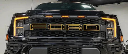 Custom Vinyl Decal Kit for Ford F-150 Raptor 3rd Gen 3.5T (2023) | Special KK Wrap - 200000182:10#d-  DRIVEN - 16