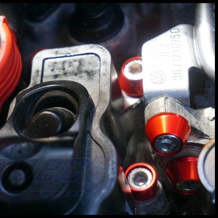 ZSPEC Stage-3 Dress Up Bolts® Fastener Kit for '10-14 VW Golf & Jetta 2.5L MK6, Stainless & Billet - ZSD-566455-ZSD-566462-ZSD-566479-ZSD-566486-ZSD-566493-  DRIVEN - 5