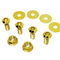 ZSPEC Strut Brace Fasteners for Nissan 370z, M10-1.25 Hardware, Titanium