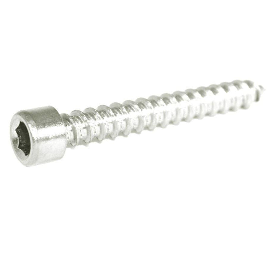 ZSPEC M6x40mm Coarse Socket-Cap SHSC Fasteners, Stainless, 10-Pack - ZSD-374135-  DRIVEN - 1