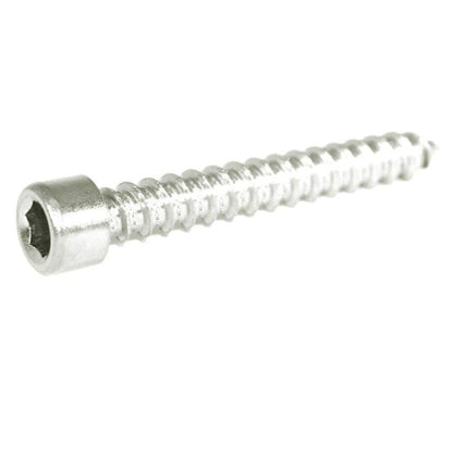 ZSPEC M6x40mm Coarse Socket-Cap SHSC Fasteners, Stainless, 10-Pack - ZSD-374135-  DRIVEN - 1