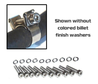 ZSPEC Fuel Clamp Dress Up Bolts® Fastener Kit for Mid-90's Nissan clamps, Stainless & Billet - ZSD-372063-ZSD-372070-ZSD-372087-ZSD-372094-ZSD-372100-  DRIVEN - 4