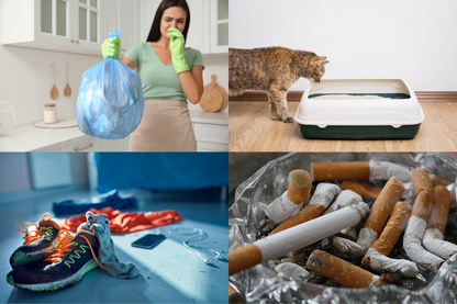 Socar Odor Neutralizer with Bio-Safe Technology - sku-47940092297435-sku-48777376530651-sku-48844367921371-sku-48777376497883-sku-48777376563419-  DRIVEN - 17