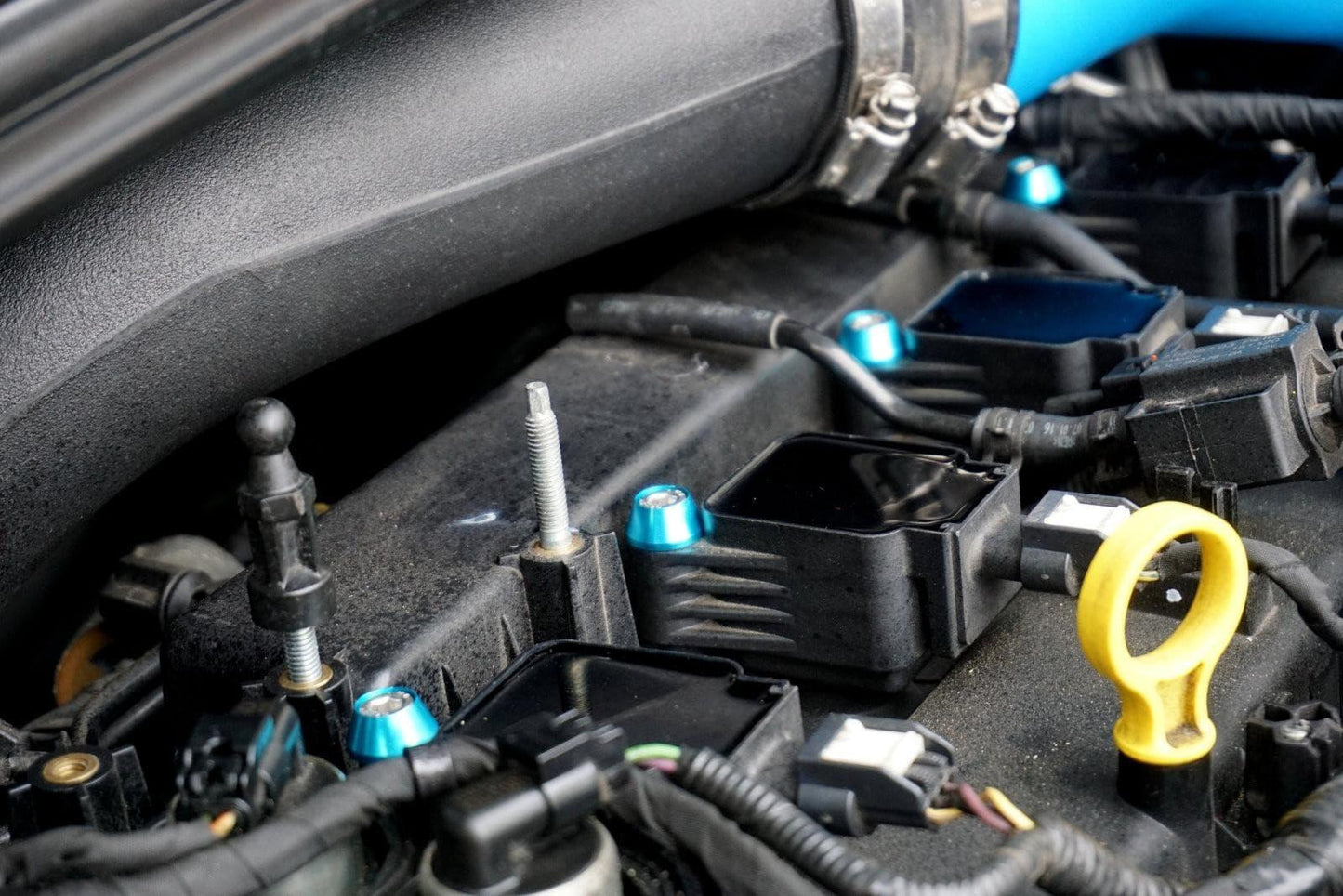 ZSPEC Stage-2 Dress Up Bolts® Fastener Kit for Ford Focus RS & ST, Stainless & Billet - ZSD-189432-ZSD-189449-ZSD-189456-ZSD-189463-ZSD-189470-  DRIVEN - 5