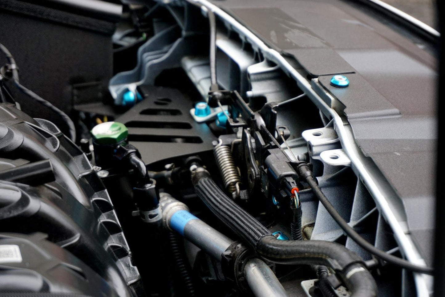 ZSPEC Stage-2 Dress Up Bolts® Fastener Kit for Ford Focus RS & ST, Stainless & Billet - ZSD-189432-ZSD-189449-ZSD-189456-ZSD-189463-ZSD-189470-  DRIVEN - 6