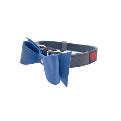 Pingree Pet Tie - sku-40538784464961-sku-40538784497729-sku-39371258855489-sku-39379413270593-sku-39379412680769-  DRIVEN - 14