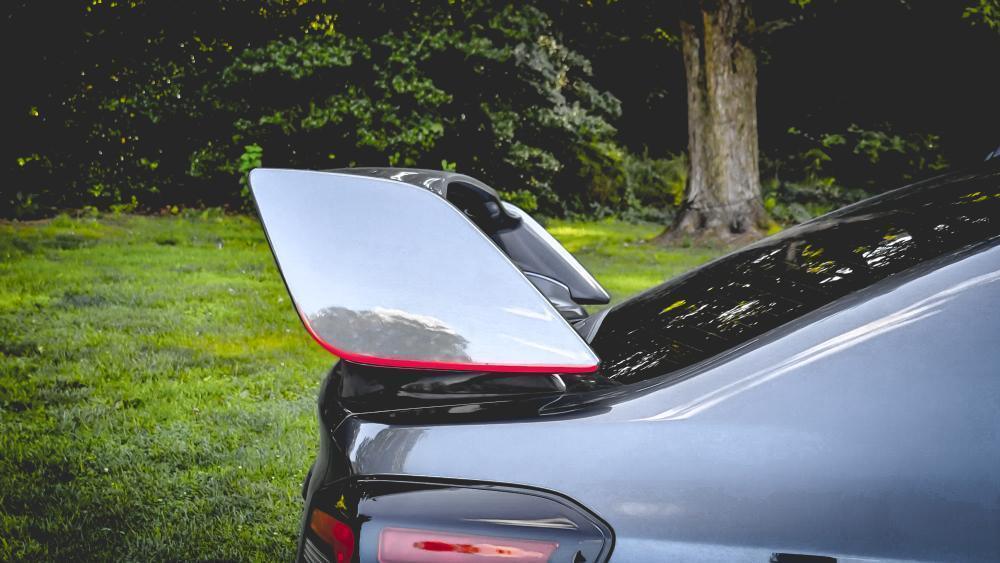 JDM Style STI Spoiler Pinstripe - 2015-2021 *WRX / STI - 15WRXJDMSTIPIN3DCF-15WRXJDMSTIPINBL-15WRXJDMSTIPINHY-15WRXJDMSTIPINGD-15WRXJDMSTIPINGY-  DRIVEN - 1