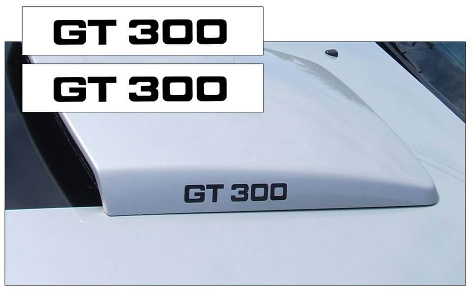2005-09 Mustang Hood Scoop Decal Set - GT300 Name - K201-BK-1-K201-BK-2-  DRIVEN - 1