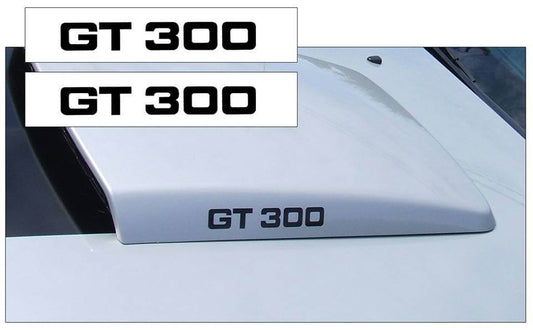 2005-09 Mustang Hood Scoop Decal Set - GT300 Name - K201-BK-1-K201-BK-2-  DRIVEN - 1