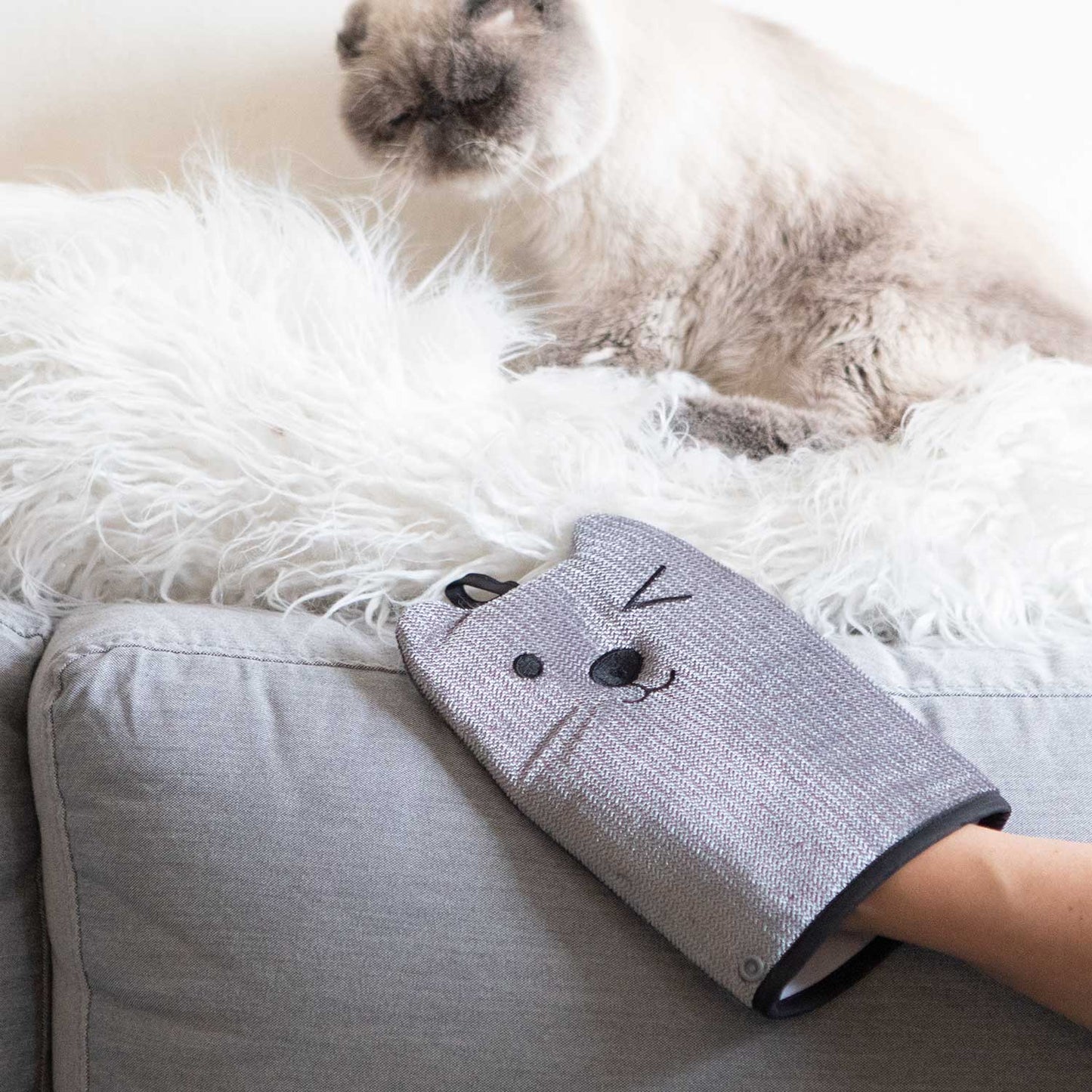 Mitten Pet Hair Remover - WM-  DRIVEN - 6