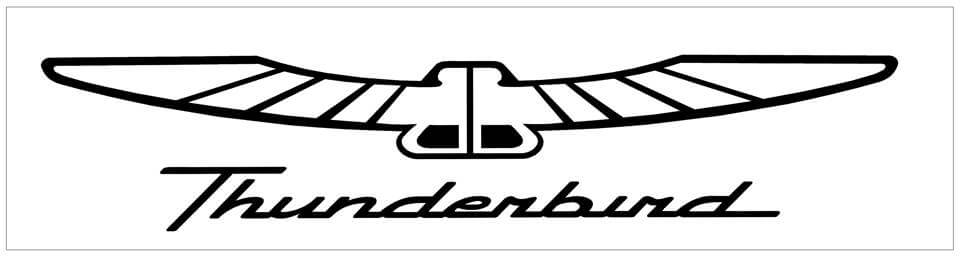 Ford Thunderbird Name and Bird Decal - 7.25" x 36" - N820-BK-1-N820-BK-2-  DRIVEN - 1