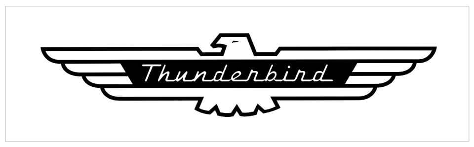 Ford Thunderbird Name Decal - 5" x 24" - N824-BK-1-N824-BK-2-  DRIVEN - 1