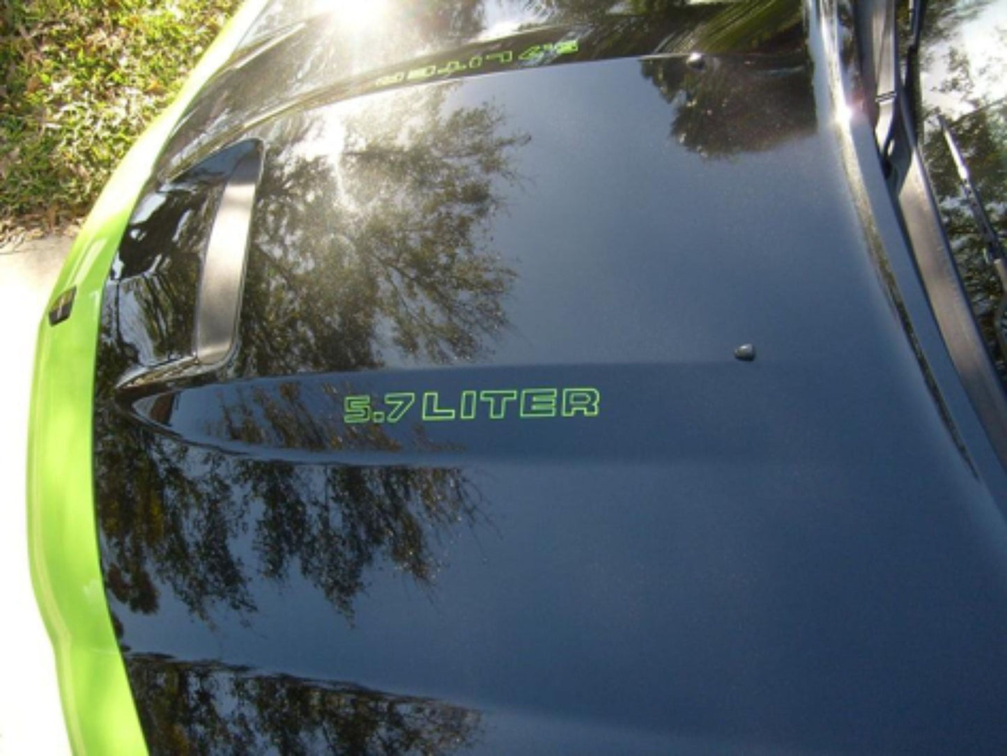 Cowl Hood Decals - Dodge Charger 5.7 6.1 6.4 - sku-42612749893819-sku-42612749926587-sku-42612749959355-sku-42612750090427-sku-42612750123195-  DRIVEN - 6