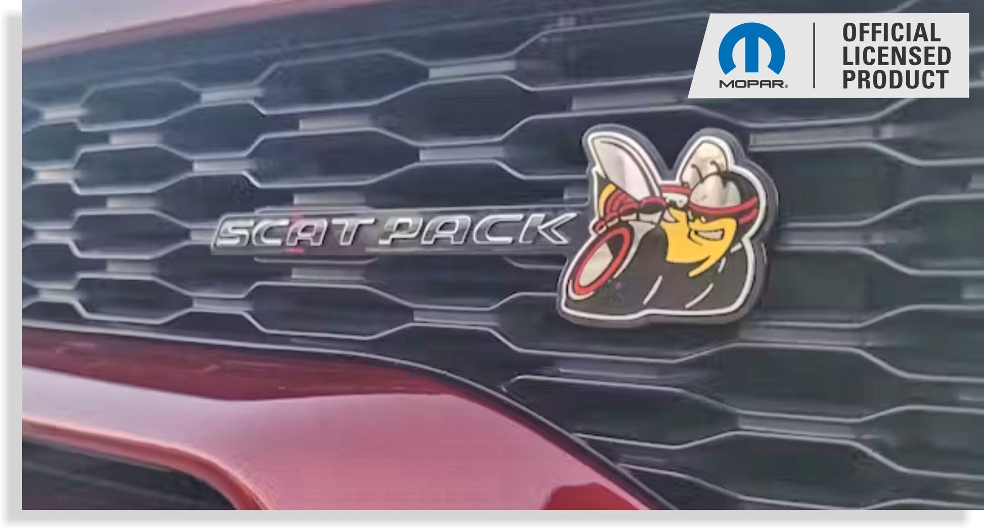SCAT PACK Grille Emblem Overlay Decal Sticker - Charger RT Scat Pack - sku-42614095708347-sku-42614096822459-sku-42614095773883-sku-42614096920763-sku-42614095741115-  DRIVEN - 1